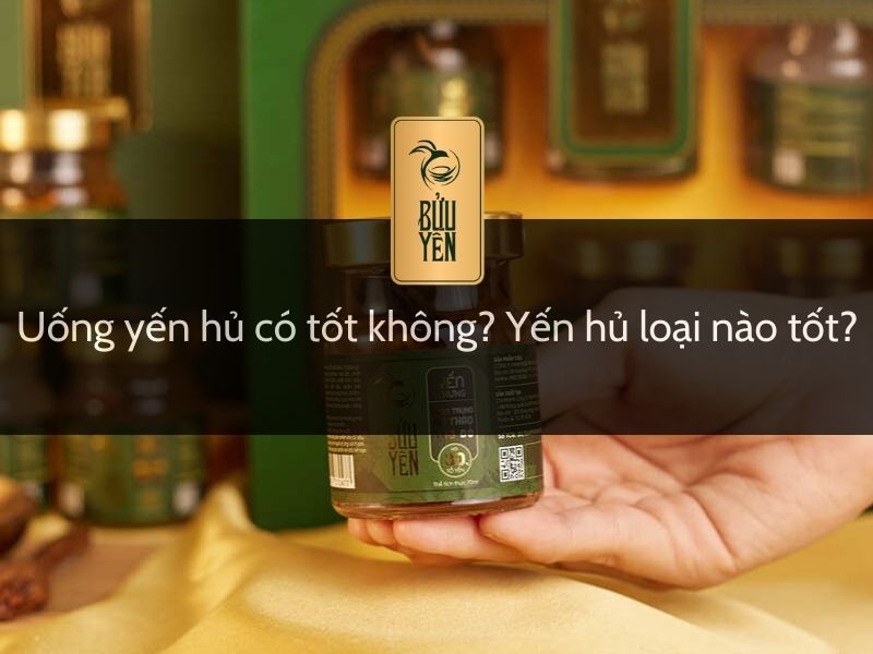 Uống yến hũ có tốt không? Yến hũ loại nào tốt?