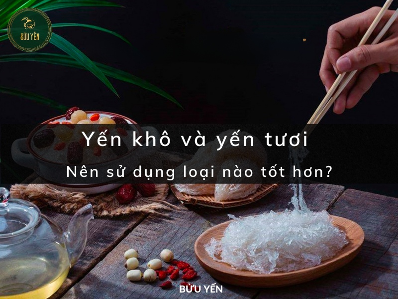 Yến khô và yến tươi nên sử dụng loại nào tốt hơn?