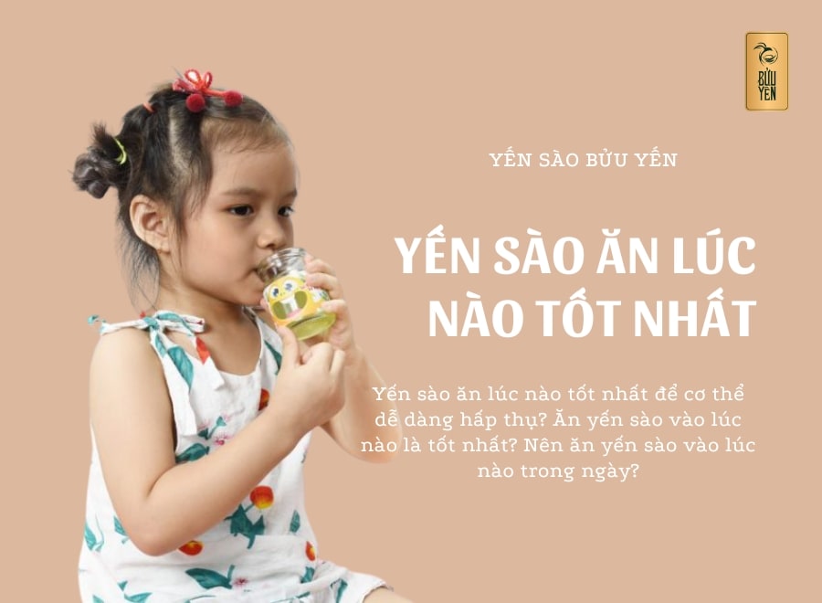 Yến sào ăn lúc nào tốt? Có nên ăn yến vào ban đêm?