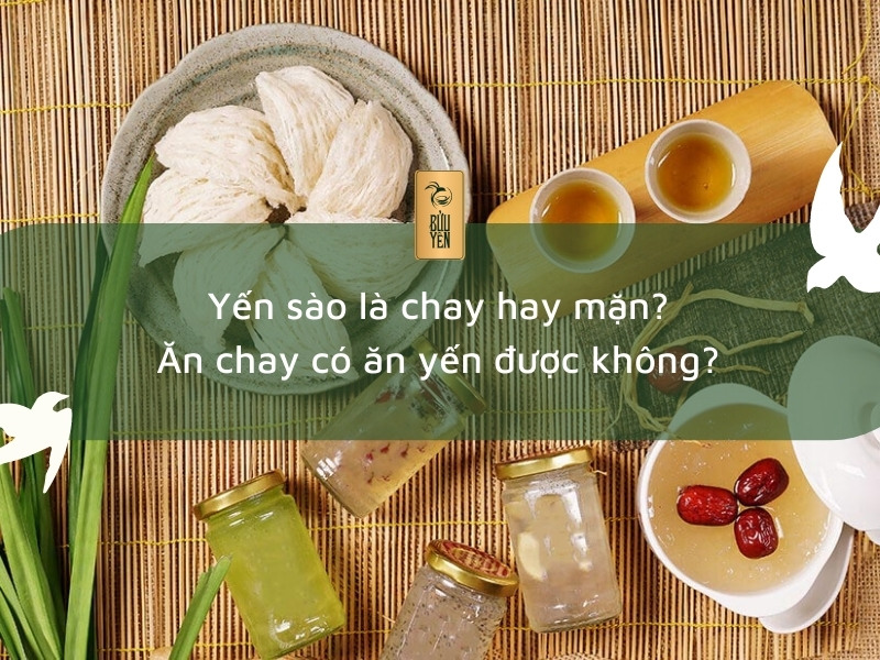 Yến sào là chay hay mặn? Ăn chay có ăn yến được không?