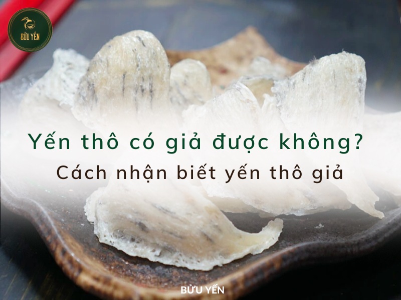 Yến thô có giả không? 5 Cách nhận biết yến thô giả