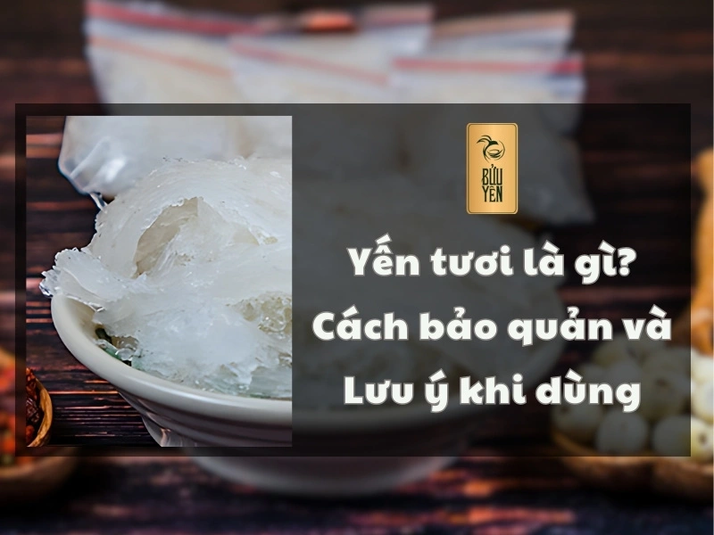 Yến tươi là gì? Cách bảo quản và lưu ý khi dùng